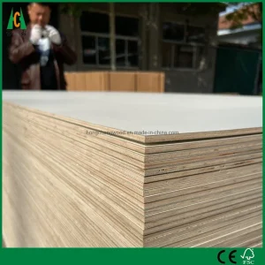 Cheap Price Commercial Plywood with Okoume, Bintangor, Red Pencil, Maple, Birch, Teak, Chinese Ash etc.