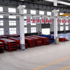 Stainless Fixed Conveyor