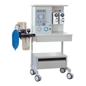 Ltsa11