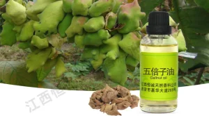 Egypt Gall Oil