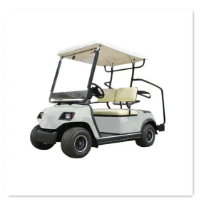 6 Seater Champagne Electric Golf Cart