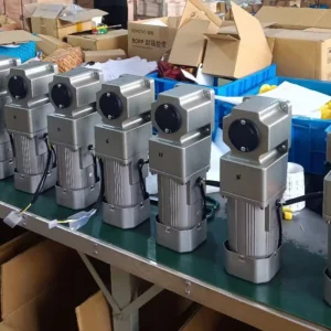 AC Gear Motor