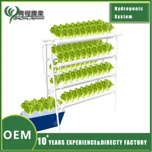 New Design Double-Sided Hydroponic System Indoor Small Vertical for Home Gardening Farms