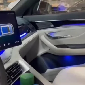 30 LEDs OEM Ambient Light Kit for BYD Han DM EV