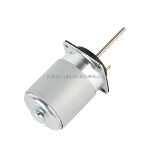 RS655DZ Brushed DC Motor