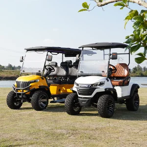 2 4 6 8 Seats Electric Car Hunting Golf Cart