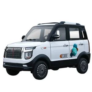 Electric Sport Mini Car