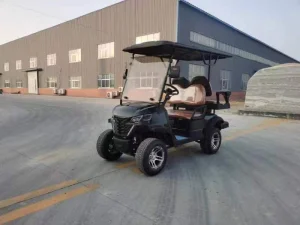 Mini Electric Vehicle Factory Cheap Price 60V 72V5kw AC System Mini Electric Golf Carts Golf Car New Energy Electric Mini Cart