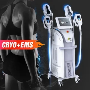 2 in 1 Cryo EMS