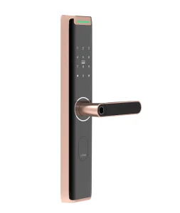Douwin Keyless Lock