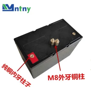 24V AGM Lithium Ion Deep Cycle Battery Pack for Golf Carts