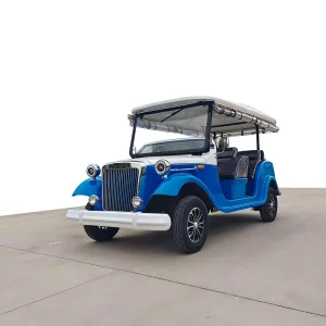 Customizable Electric Golf Cart Solar Powered