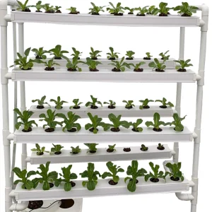 Indoor Vertical Hydroponic Nft Channel System for Leafy Vegetables