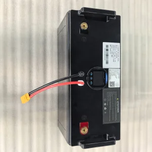 Módulo de Batería Todo en Uno 41.6V 50ah LiFePO4 con Caja de ABS Resistente a los Choques