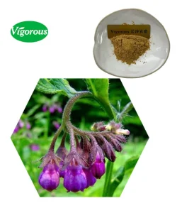 1%Shikonin Herbal Lithospermum Erythrorhizon Extract Powder Gromwell Root Extract Powder for Dietary Supplements