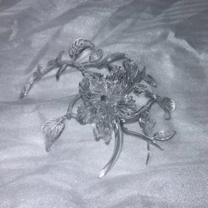 Transparent Functional Resin