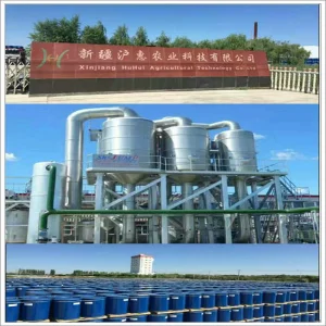 Tomato Sauce Preparation Equipment