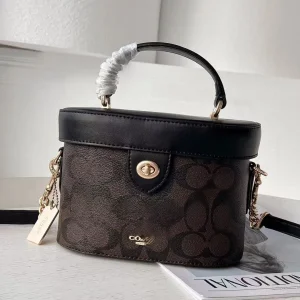 Premium Small Vanity Handbag Ladies Fashion Lock Closure Shoulder Bag