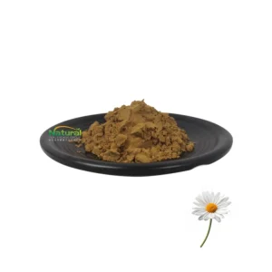 Chrysanthemum Extract