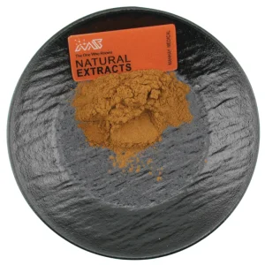 Factory Supply High Quality Raw Material Bulk Supply OEM Lotus Leaf Extract