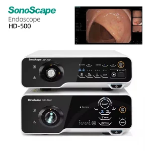 Endoscopia
