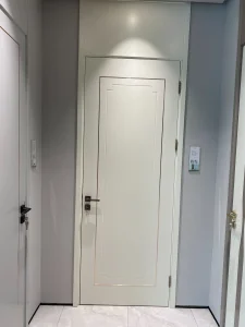 Multi-functional Pocket Door