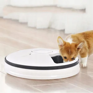6 Meals Automatic Pet Feeder Electric Timer Dog Toy