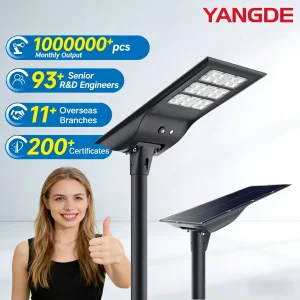 20W30W40W Luminária de Rua Solar LED Tudo-em-Um