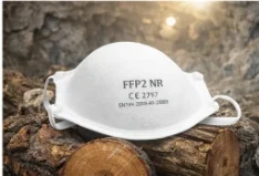 FFP2 Supplier