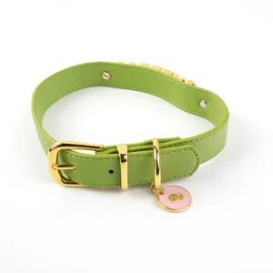 Luxury Engraved Bling Collar