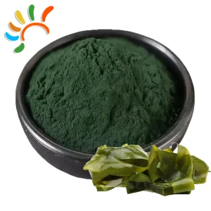 Food Grade Brown Seaweed Powder