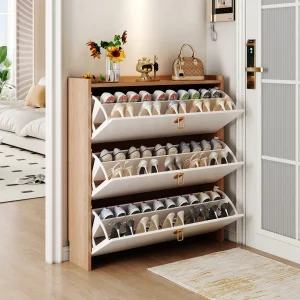 Dust-proof Shoe Cupboard for Modern Mudroom Entryway Shoe Organizer for Professional Household Management