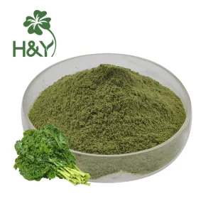Kale Leaf Extract Kale Powder Food Grade Vegetable 99%