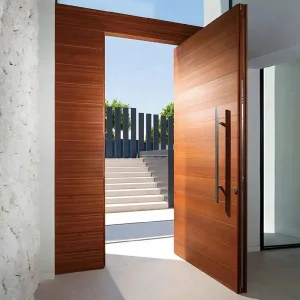 Security Entry Door