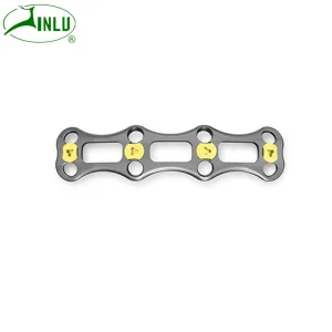 Spinal Fixator Implant