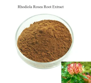 Extrato de Rhodiola Rosea 3% Salidrosídeo Alívio do Estresse e Foco