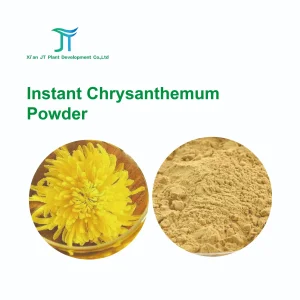 Pure White Chrysanthemum Powder - 100% Natural Herbal Extract