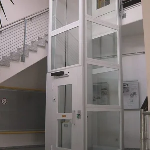 Residential Hoistway Vertical Home Platform Stair Lifts Elevator Price Cheap Home Elevator for Passenger