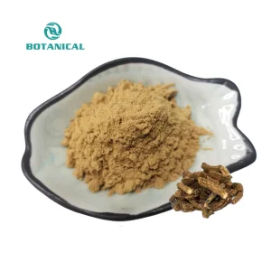 Radix Aucklandiae Costus Root Powder