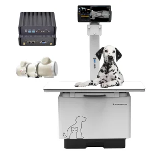 in-32kw-P Pet High Voltage X Ray Generator / Fixed Veterinary Digital Radiography System