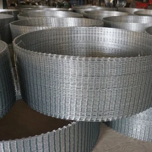 Anti-Rust Hot Dipped Security Fastener 2.5 mm Bto 16 22 Galvanized Concertina Razor Barbed Wire PVC Coated Safety Low Carbon Blade Razor Wire Rolls Anti Climb