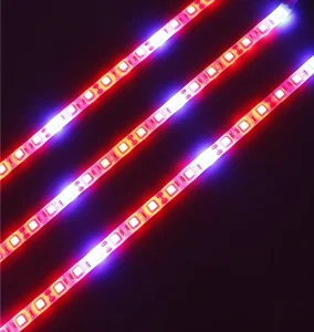 Full Spectrum IP65 Hydroponic Led Strip Grow Light