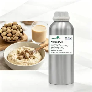 Wholesale Pure Nutmeg Essential Oil