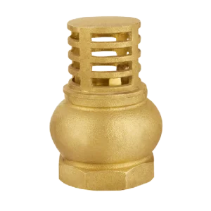 Best Brass Spring Check Foot Valve