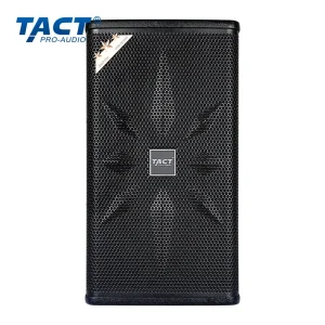 OEM 10Inch 12Inch 500W 300W Passive Speaker
