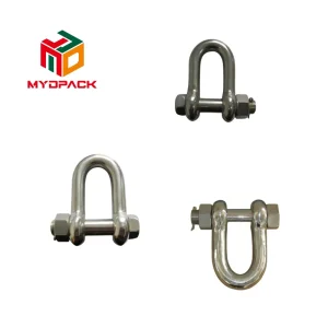 Stainless Steel D Shackle