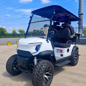 Acessórios de Carrinho de Golfe Elétrico Ecológicos