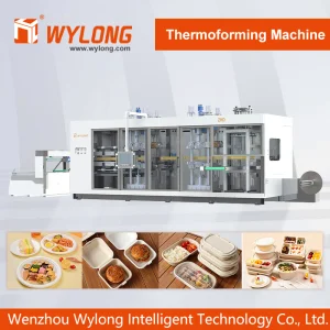 Food-Grade Multi-Station Container Thermoformer Plastic Fast Meal Disposable PP Clamshell Takeout Hinged to Go Food Packaging Containers Making Machine