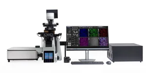 Confocal Microscopy