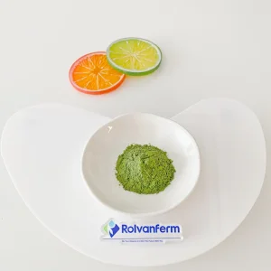 Polvo de hoja de bambú superalimento verde sostenible para coloración natural, proporcionando un sabor terroso y densidad de nutrientes en barras y polvos saludables